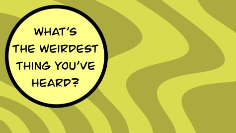 Top Five Weirdest Sentences & Conversations Overheard at BHS