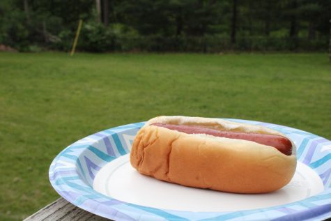 Hotdogs: A journey through summer cooking, friendship and near housefires