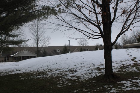 This is the land area behind the library that the BHS environmental club plans to start growing. Growing plants on a hill or slope allows for warmer soil, better drainage and reduced erosion because of the risen mound and some of the contours of the plot of land.  